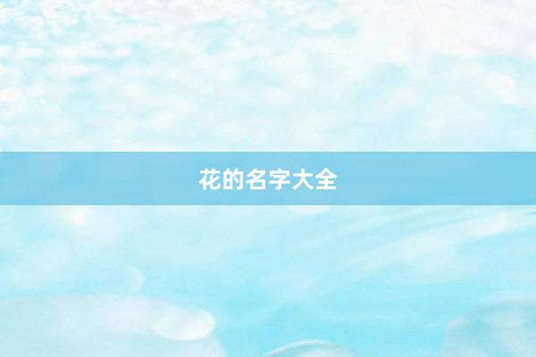 花的名字大全