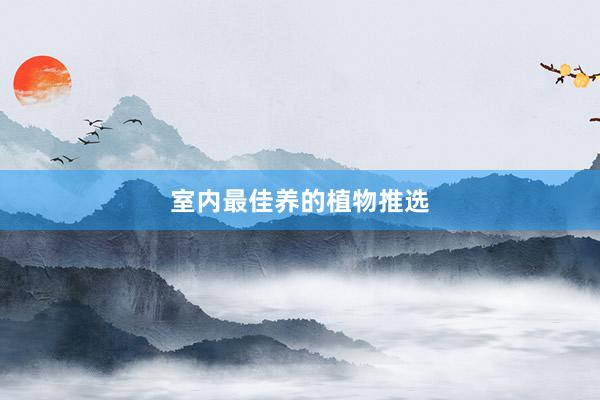 室内最佳养的植物推选