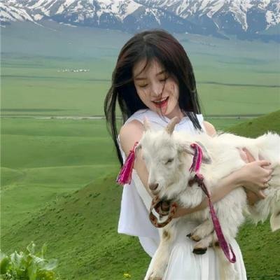 少女们的指南针